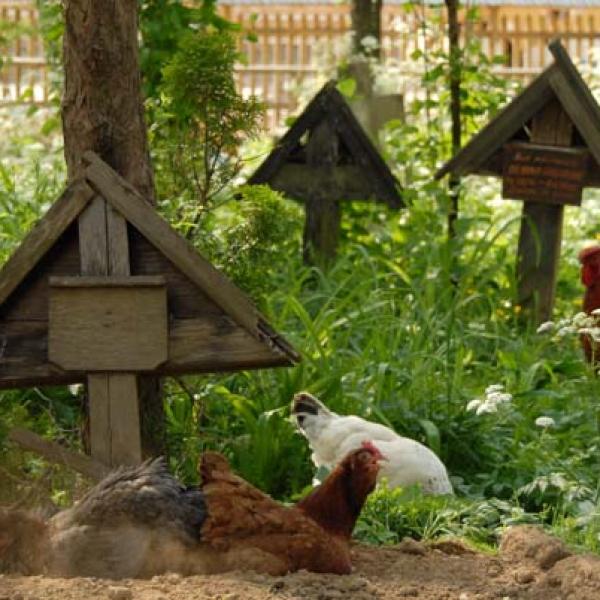 Hens Cemetery